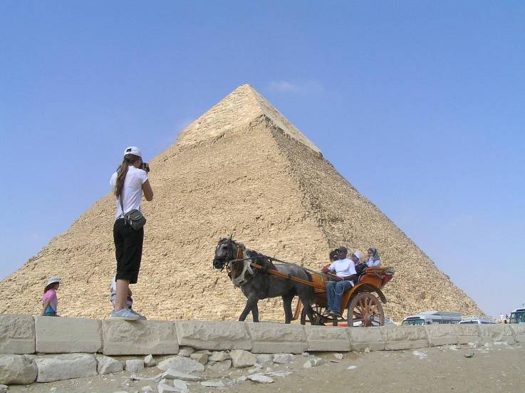 kon pod pyramidami v egypt, kon voz turisty v egypte
